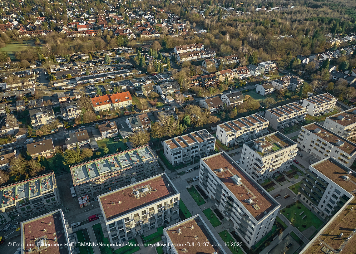 16.01.2023 - Alexisquartier und Pandion Verde